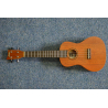 UKULELE KONCERTNÍ UKE240MH Ashton PPP