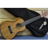 UKULELE KONCERTNÍ CaschaHH2033PPP Premium Mahogany