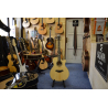 KYTARA ELEKTROAKUSTICKÁ 6 STRUNNÁ SIGMA Guitars GWCE 3+PPP
