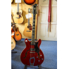 KYTARA LUBOVÁ 12 STRUNNÁ HAGSTROM HSVIDLX1204 VIKING DELUXE PPP