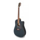 APC WG100 BK CW elektroakustická kytara