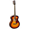Brunswick GA BF200SB